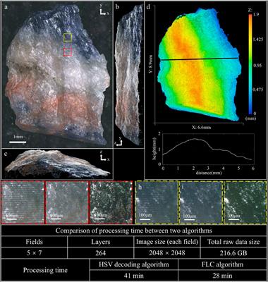 Three-dimensional natural color imaging based on focus level correlation algorithm using structured illumination microscopy